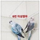 미성농장 네이버블로그