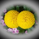 장수건강 이미지