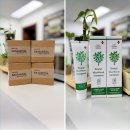 에이치덴탈 이미지