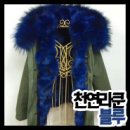 블루라쿤