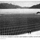 누리12태양광발전소 이미지