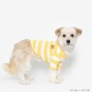 도그월드 이미지