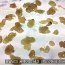 보라빛케이크