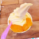 하동2 | 여수·하동 2박3일 여행 브이로그 후기(추천·정보)/맛집·카페·디저트·숙소 등