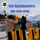 해송 행정사사무소 이미지