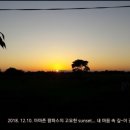 노마디코
