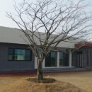 구엄리용삼네
