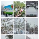 보리수농장 이미지