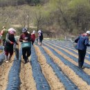 이영식농장 이미지