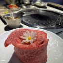 가야상회 이미지