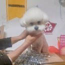 나보다 예쁘개 이미지