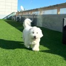 러스틱라운지 이미지