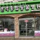 서울대동물종합병원 이미지