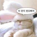 내 소중한 현오빠에게 🐰ྀི🤍 #9 이미지