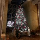 트리멍마마 | 의정부예쁜카페 대형트리 포토존 예쁜 투하츠베이커리 저녁 방문 후기