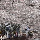 진해구 ⓒ-19 이미지