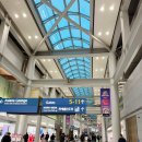아시아나 OZ601 시드니 직항+시드니공항에서 시티가는 방법(우버)후기