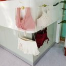 포레스트폴댄스사가정점