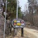 메밀사랑 | [홍천] 수타사 가면 꼭 들르는 단골 맛집, 칡사랑 메밀사랑 막국수 &amp; 감자전 후기