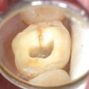 가온치과병원 이미지