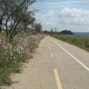 금강변길 이미지