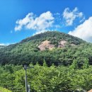 [국내 여행] 울산 캠핑장 작천정 달빛 야영장 후기 ㅣ 사이트 10번 솔직후기