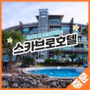 호텔스카브로 이미지