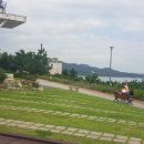 더 원 행정사 사무소 이미지