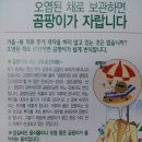 짱구세탁소 이미지