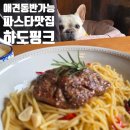핑크애견 | (동쪽)제주 구좌읍 파스타 맛집 하도핑크 애견동반 가능 메뉴 후기