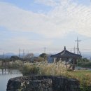 헬로남생이 제주 조천 카페 가을 분위기 <b>남생이</b> 못 '<b>헬로</b><b>남생이</b>'