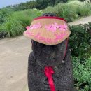 카멜리아캐슬 이미지