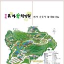 양평 유아숲체험원 이미지