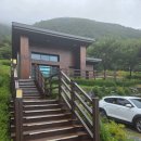 길냥이와 함께하는 | 영천 숙소 보현산 자연휴양림 장단점(7호방) 및 다양한 프로그램 후기