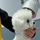 고잔유치원 이미지