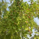 하도제2농장 이미지