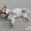 초현펜션 이미지