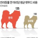 한방세상 이미지