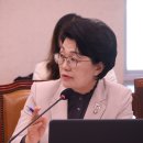 곡성-195 전남일보
