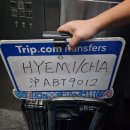 쌩큐마트 | 🇨🇳 상해 4박 5일 여행 :: 동베이런지아, 화이트래빗, 지엔빙맛집, 곰돌이커피, 신천지, 임시정부청사...