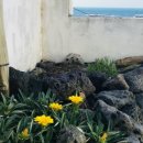 THE STAY 여기 이미지