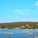 나무향기 이미지