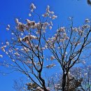 세기인쇄산업
