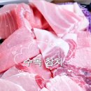 아이참치회포장 이미지