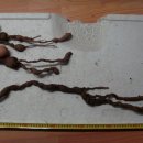 월영동017 이미지