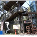 서천 마량리 동백나무 숲 이미지