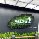 제주야컴퍼니 | 제주도 신혼여행 1일차 가볼만한곳 ft. 하르방짬뽕, 제주아르떼뮤지엄, 롯데호텔, 신우성흑돼지