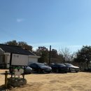 원당 | 원당 애견 카페, 어쓰120 방문후기