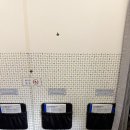 6502 | 파라타항공 김포-제주 WE6501-6502 후기