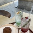 소루에디트